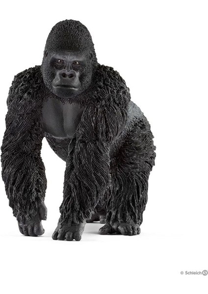 Gorilla Mannetje