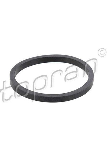 109621001 109621001 Yağ Soğutucu Oring-62,8 (Vw Caddy 96-11 Golf 92-14 Passat 88-11 Transporter 96-10)