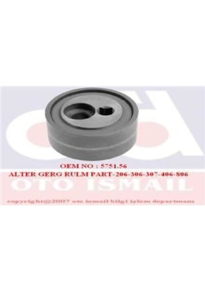 531037310 531037310 V Kayış Gergi Rulmanı 307 2.0 Hdı DW10TD Nac