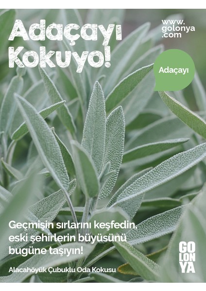 Alacahöyük Çubuklu Oda Kokusu - 120 ml