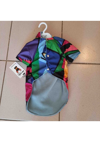 Zeyşil Renkli Köpek Montu