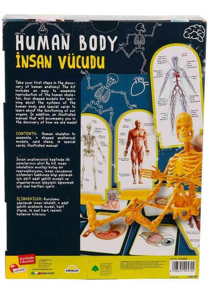 Bilim Seti Insan Vücudu