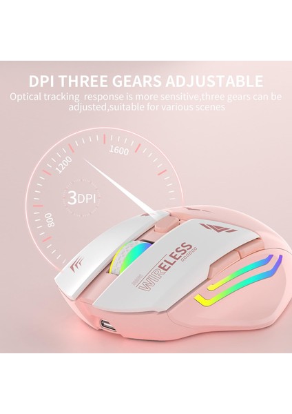 Pembe Rgb Şarjlı Kablosuz 1600DPI Işıklı Kablosuz Mouse Bwm1