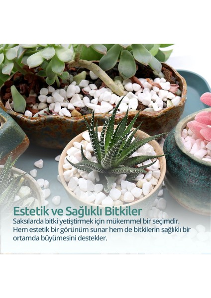 Beyaz Dolomit Taş 10 kg 1-3cm Dolomit Taşı Bahçe Süs Akvaryum Taşı Dere Çakıl Taşı