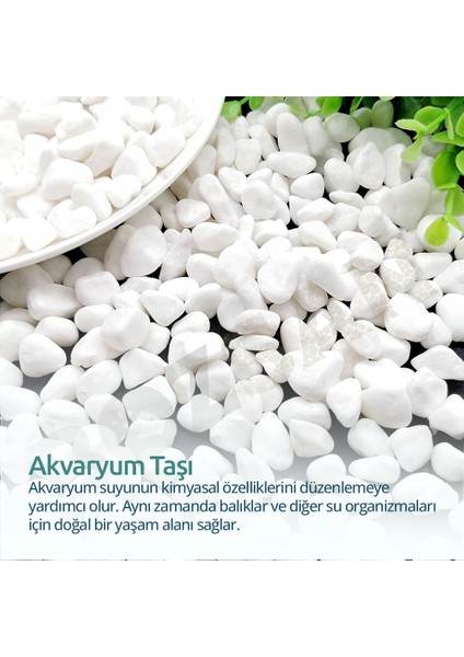 Beyaz Dolomit Taş 15 kg 1-3cm Dolomit Taşı Bahçe Süs Akvaryum Taşı Dere Çakıl Taşı