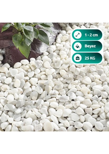 Beyaz Dolomit Taş 25 kg 1-3cm Dolomit Taşı Bahçe Süs Akvaryum Taşı Dere Çakıl Taşı