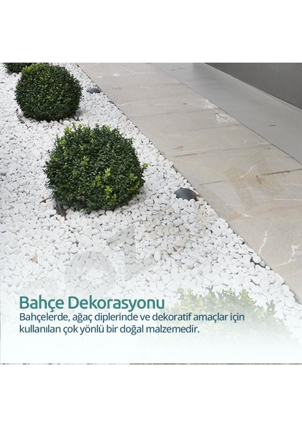 Beyaz Dolomit Taş 25 kg 1-3cm Dolomit Taşı Bahçe Süs Akvaryum Taşı Dere Çakıl Taşı