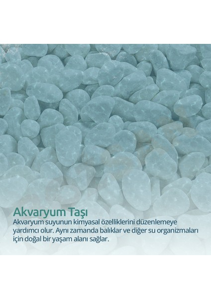 Beyaz Taş 2-4cm Dolomit Taşı Bahçe Süs Akvaryum Taşı Dere Çakıl Taşı 10 kg