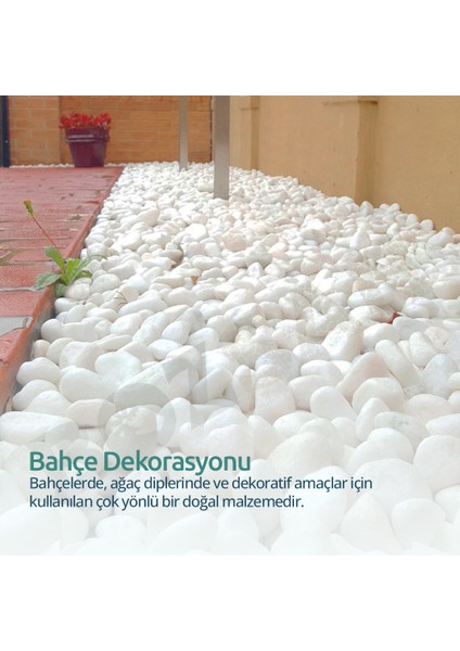 Beyaz Taş 4-6cm Dolomit Taşı Bahçe Süs Akvaryum Taşı Dere Çakıl Taşı 50 kg