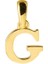 14 Ayar Altın G Harfi Kolye Ucu 0,39 gr 1