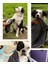 Köpek Havlusu, Süper Su Emici Mikrofiber, Gri, 80X120 Cm 5