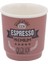 Somon Baskılı Espresso Bardak 90ML 1