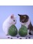 Kedi Ödül Maması Oyuncağı 2