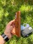 Iphone 14 Magsafe Leather Stantlı Telefon Kılıfı 3