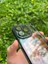 Iphone 14 Pro Sp Lens Korumalı Silikon Telefon Kılıfı 4