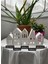 5'li Mumluk Evler-Alt Tabla-Mini Mumlar 4