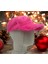 Kadın Kışlık Peluş Şapka Kep Trendy Baseball Cap 1