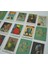 Art Memory Cards Eşleştirme Oyunu ve 1 Dedektif Oyunu 4