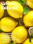Klasik Limon Kolonyası Sprey Başlıklı 1 Lt 6
