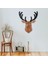 Deer Head 1