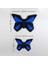 Blue Morpho Butterfly 5
