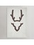 Nature's Horns 2