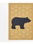 Honey Bear 2