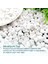Beyaz Dolomit Taş 10 kg 1-3cm Dolomit Taşı Bahçe Süs Akvaryum Taşı Dere Çakıl Taşı 3
