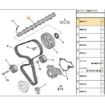ESTAŞ ESTAS Eksantrik Mili 206 307 Focus Fiesta 1,4hdı Dw4 (EST14049-0801CY)