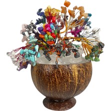 Doğal Taş Dünyası Sertifikalı Doğal Taş El Yapımı Hindistan Cevizi Saksı Içerisinde Dekoratif Ağaç