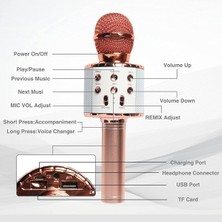 Aqqogib Çocuklar Için Karaoke Mikrofonu, LED Işıklı Bluetooth Kablosuz Mikrofon, Kız Erkek Yetişkinler Için Taşınabilir El Karaoke Mikrofon Hoparlör Makinesi (Gül Pembesi) (Yurt Dışından)