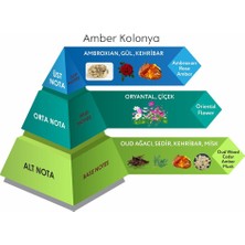 Venilia Amber Cep Boy Kolonya Eau De Cologne 30 ml
