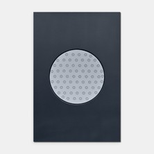 Hangroar Round Dots