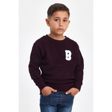 Mrs & Kids 3D Nakışlı Mürdüm Yünlü Ve Pamuk Kışlık Bisiklet Yaka Çocuk Erkek Sweatshirt