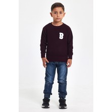 Mrs & Kids 3D Nakışlı Mürdüm Yünlü Ve Pamuk Kışlık Bisiklet Yaka Çocuk Erkek Sweatshirt