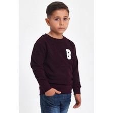 Mrs & Kids 3D Nakışlı Mürdüm Yünlü Ve Pamuk Kışlık Bisiklet Yaka Çocuk Erkek Sweatshirt