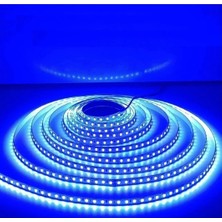 Informed 3 Çipli Şerit LED Iç Mekan 5 Metre ( Trafo Hariçtir )