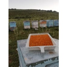 Bin Güven Bal Bingöl Yayla Saf Arı Poleni (100 Gr.)