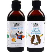 Beorganic Dino Kids Probiyotik Cvitaminli Veçam Kozalaklı Karışım Probiyotik Özlü Karışımlı Şuruplar