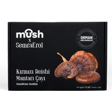 Mush Kırmızı Reishi Mantarı Çayı (Ganoderma Lucidum)