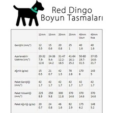 Red Dingo Klasik Pembe Köpek Boyun Tasması 15 mm