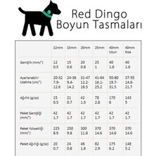 Red Dingo Klasik Turkuaz Köpek Boyun Tasması 12 mm