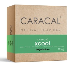 Caracal Xcool Yağlı Ciltler İçin Arındırıcı Cilt Bakım Sabunu Çay Ağacı Aloe Vera Mentol At Kestanesi