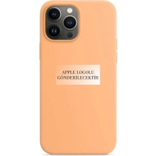 Gritty Apple iPhone 15 Pro Ile Uyumlu Premium Kılıf Kadife Iç Yüzey Logo Lansman Kapak Pudra