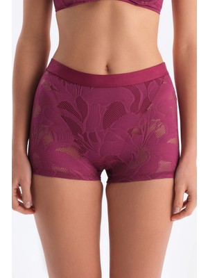 Dagi Mürdüm Renkli Dantelli Boyshort Kadın İç Giyim Desenli Şık Tasarım