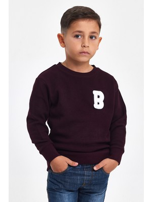 Mrs & Kids 3D Nakışlı Mürdüm Yünlü Ve Pamuk Kışlık Bisiklet Yaka Çocuk Erkek Sweatshirt