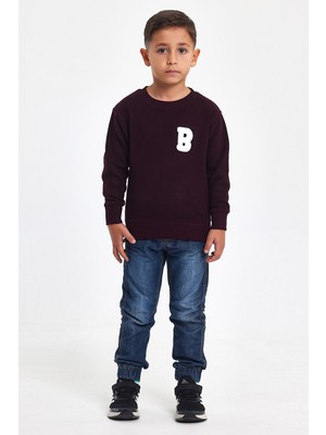 Mrs & Kids 3D Nakışlı Mürdüm Yünlü Ve Pamuk Kışlık Bisiklet Yaka Çocuk Erkek Sweatshirt