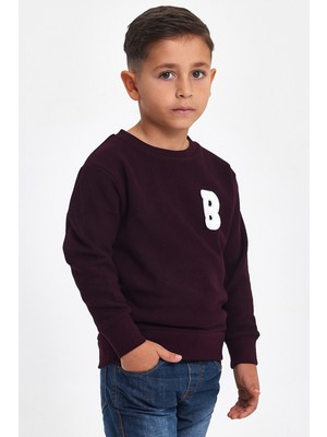 Mrs & Kids 3D Nakışlı Mürdüm Yünlü Ve Pamuk Kışlık Bisiklet Yaka Çocuk Erkek Sweatshirt