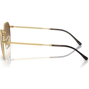 RB3694 001/51 53 Kadın Güneş Gözlüğü