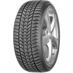225/45 R17 91H Frigo Hp 2 Fp Oto Kış Lastiği ( Üretim Yılı: 2023 )